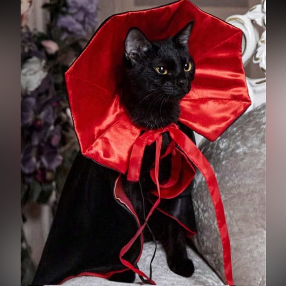 Other - Pet Vampire Halloween Costume Fits Small Dogs NWOT Adjustable
